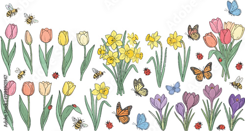 Spring garden illustration with tulips daffodils crocuses butterflies bees and ladybugs.