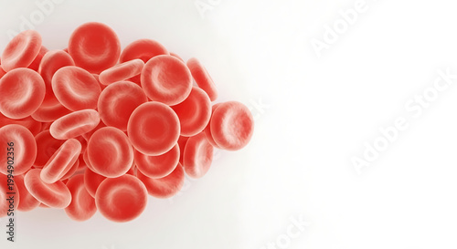 A cluster of red blood cells on a white background for medical or scientific use