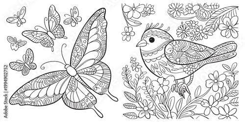 Intricate Butterfly and Bird Line Art with Floral Patterns for Coloring and Design