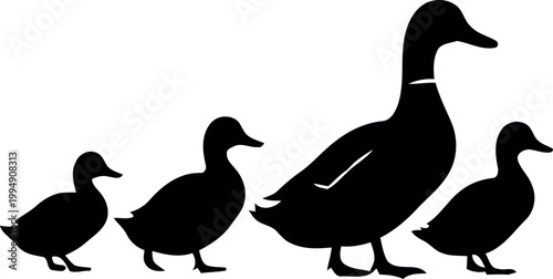 A silhouette of a mother duck leading her three ducklings in a single file line