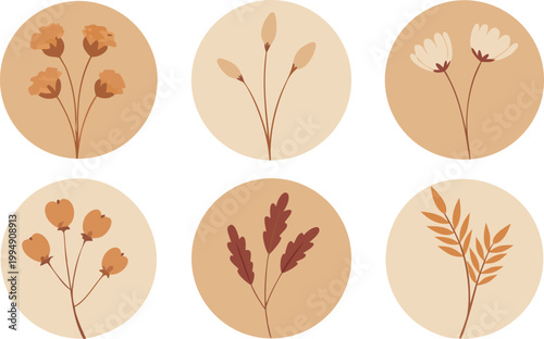 Vector set of 6 round beige frames with dried flowers.