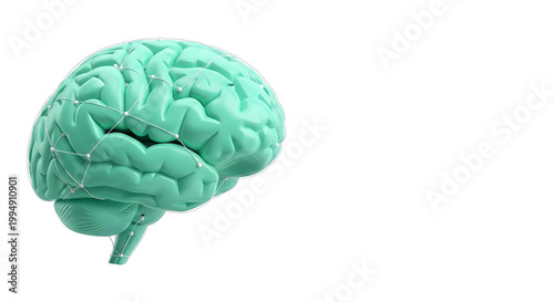 A 3D illustration of a human brain with a network of connections on a white background
