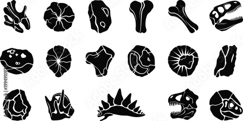 A collection of black and white dinosaur bone and fossil illustrations on a white background