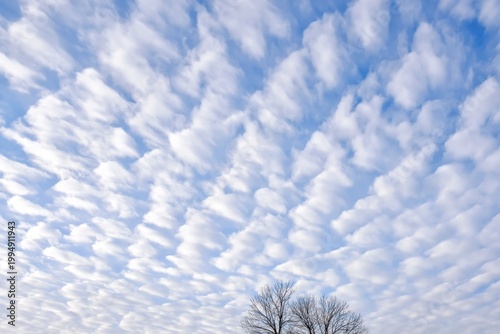 Cloud Patterns Stretch Across the Blue Sky Above Two Bare Trees in an Open Fi...