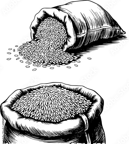 Black and white of burlap sacks overflowing with rice grains