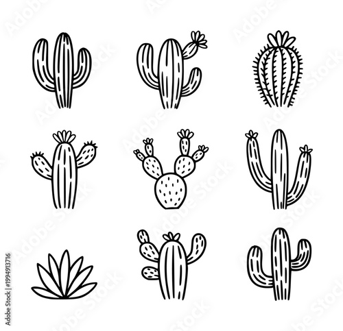 Collection of hand drawn line cactus and succulent plants with flowers white background