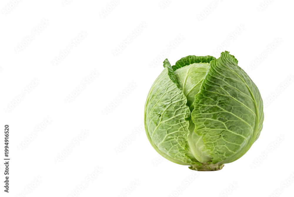 Fototapeta premium Whole fresh green cabbage head isolated on black