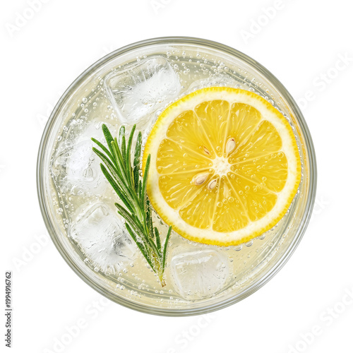 Bild auf Leinwand Refreshing cocktail with lemon ice and rosemary branch