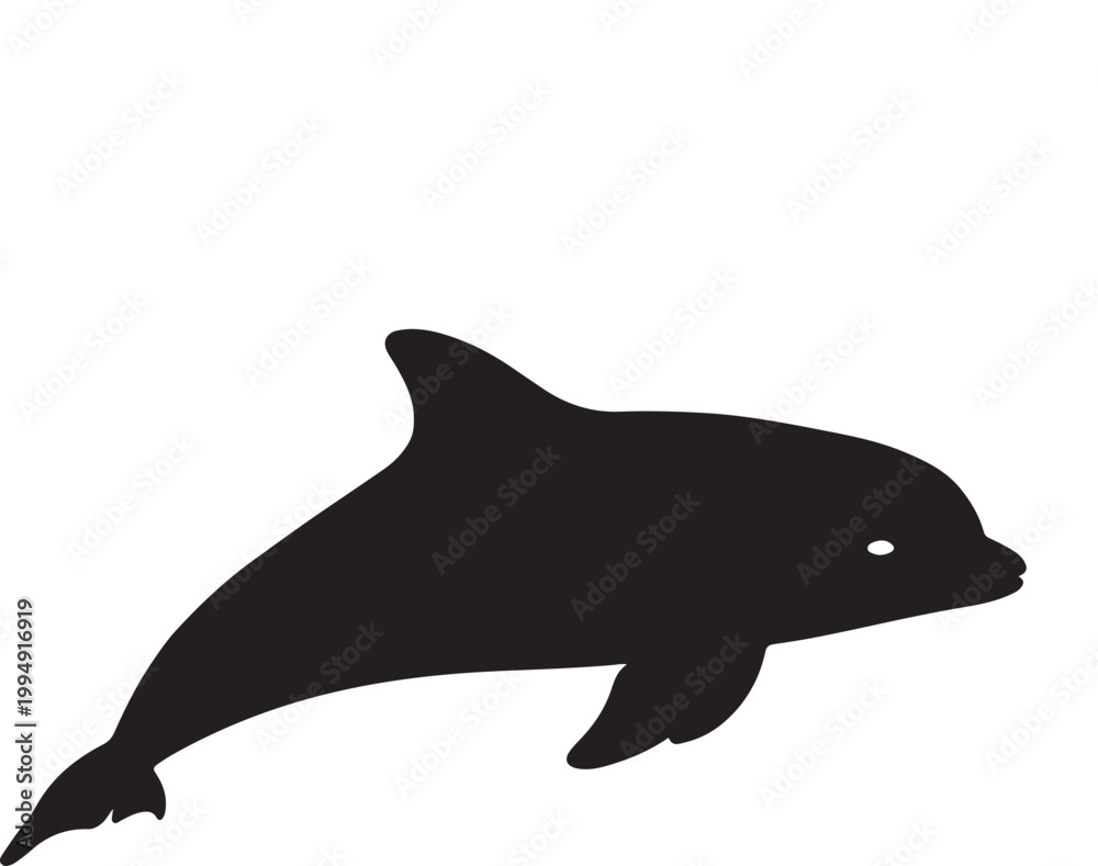 Fototapeta premium dolphin isolated on white background