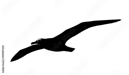 Albatross silhouette flying side view vector illustration of seabird in glide motion isolated on white background