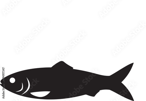 fish isolated on white background