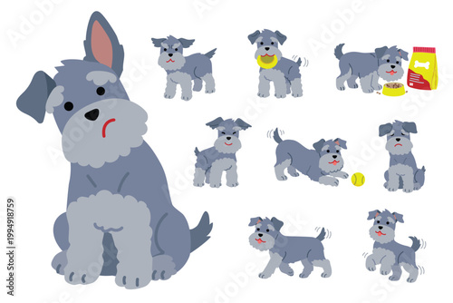 Vector illustration set of cute Miniature Schnauzer dog in different poses and emotions. Playing, eating, sitting, happy and sad. Perfect for pet shop, vet clinic or animal graphic design.
