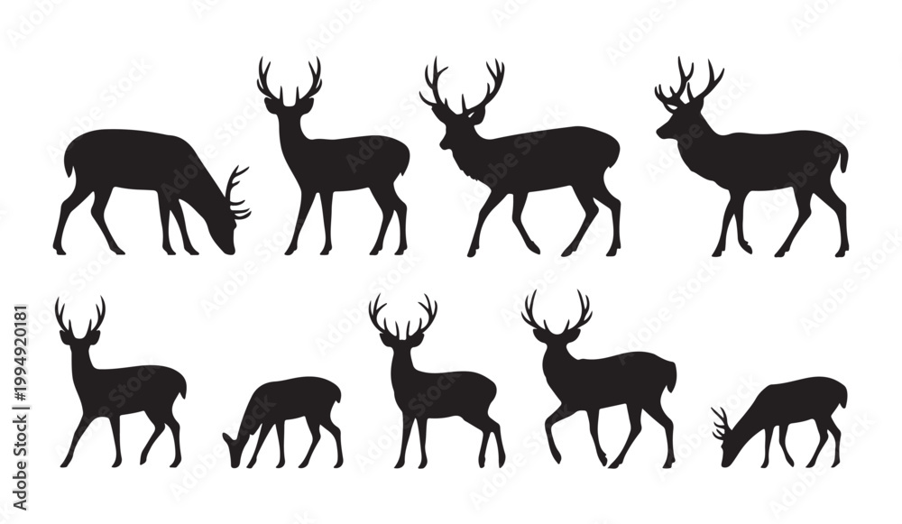 Fototapeta premium Eight deer silhouettes in various poses, including grazing and standing, on white background vector.