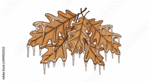 Two brown oak leaves adorned with melting icicles, isolated on white