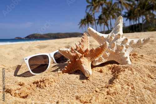 Sunshine and Seashells on a Sandy Beach With Palm Trees in the Background