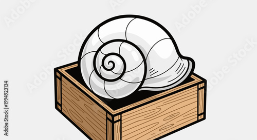 Stylized white snail shell resting in a wooden box