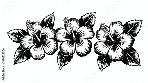 A black and white illustration of three hibiscus flowers with leaves