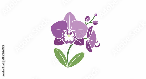 Stylized purple orchid with buds and green leaves on a white background