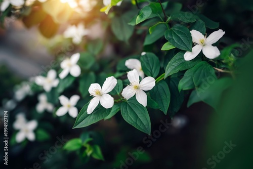 White Flowers Bloom on Green Branches During Golden Hour in the Garden