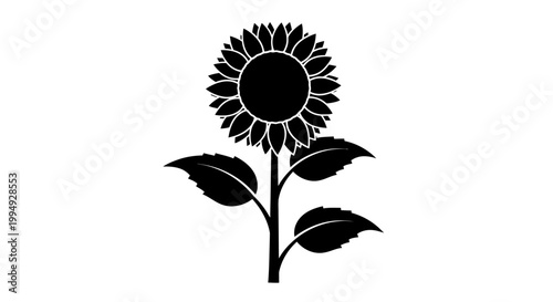 A striking black sunflower design a bold floral silhouette