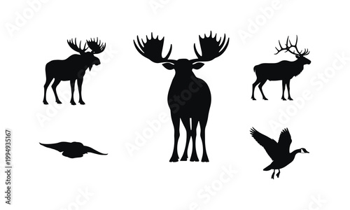 Moose elk and goose silhouette vector wild animals for outdoor hunting and forest scenery.