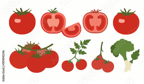 Modern tomato vector set with fresh whole and sliced vegetable illustrations