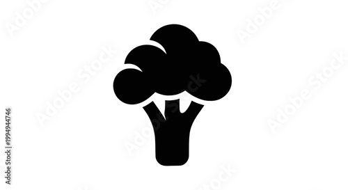 Vector illustration of broccoli icon vector illustration on a transparent background