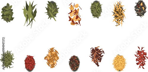 Assorted dried herbs and spices collection vector set with colorful organic seasonings isolated on white background for culinary branding and packaging design