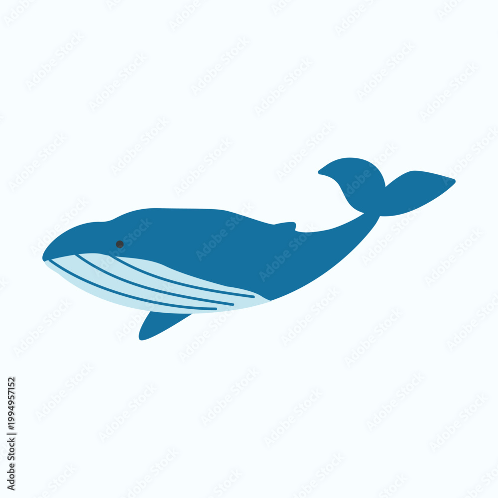 Obraz premium Blue whale illustration, marine animal ocean wildlife, underwater sea creature design 