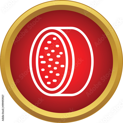 Dragon fruit pitaya slice icon representing tropical healthy organic food