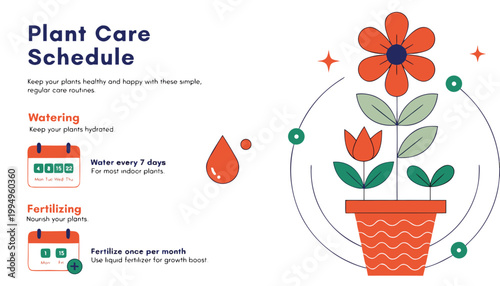 Infographic of plant care schedule with watering and fertilizing routine for indoor plants in modern flat design with decorative elements