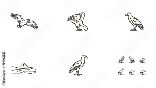 Canvas Print Eagle Sketches: A collection of meticulously crafted sketches showcasing the majestic bird in various poses, from soaring through the air to surveying the landscape with keen eyes