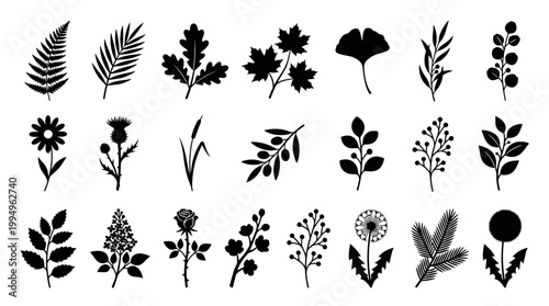 Botanical Plant Silhouettes Vector Collection Featuring Twenty Unique Leaf and Floral Designs in Minimalist Black Artwork on White Background for Nature, Decorative, and Graphic Design Projects