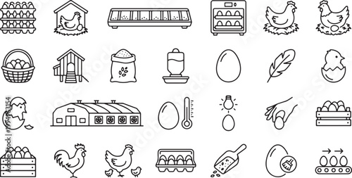Egg production poultry farming incubation hatchery chicken coop egg processing storage packaging outline vector icon set poultry industry collection