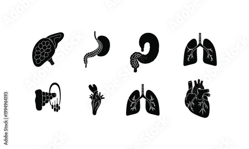 Black and white human organ vector icons set
