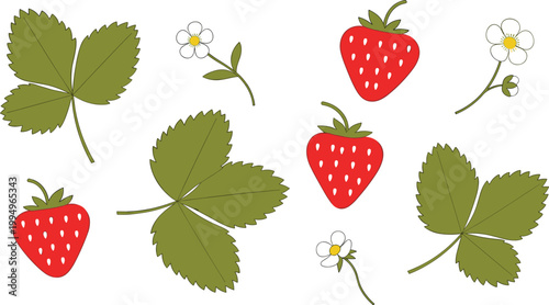 Illustration of Fresh Strawberries, Leaves, and Flowers for Nature, Food, and Garden Design Projects
