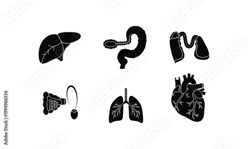 Black and white human organs vector icons set