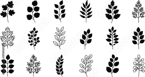 A set of minimalist leaf silhouettes in black and white on a clean background