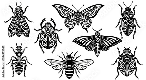 Insect icons, black and white, bug illustrations, 7 designs, vector graphics