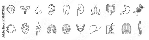 Anatomy organs medical gray outline set icon on transparent background