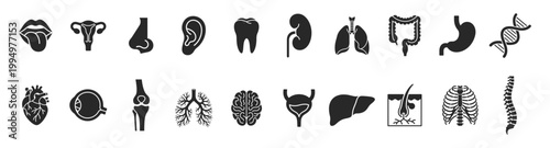 Anatomy organs medical silhouette set icon on transparent background