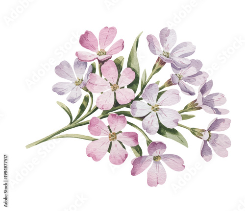 Delicate scarlet flowers rising in a calm hand-painted compositio