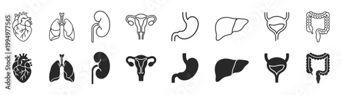 Anatomy organs medical outline solid set icon on transparent background