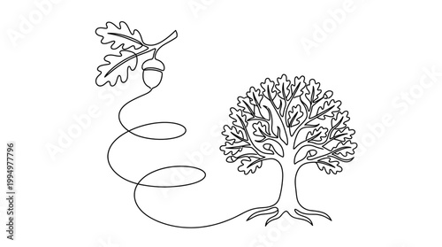 Single Continuous Line Drawing of Acorn Falling and Growing into Oak Tree Minimalist Vector