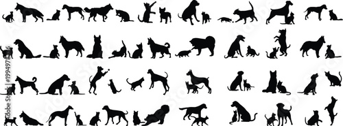 Photography Animal Silhouettes Collection Vector – Wildlife Domestic Pets Black Shadow Set