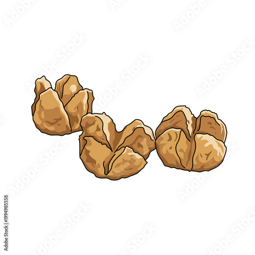 Indonesian bakso goreng multiple fried meatballs vector illustration