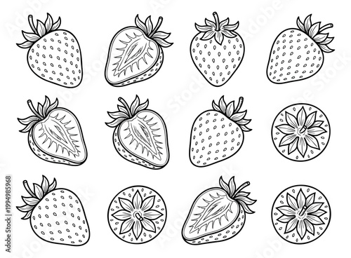Outline icon set of 12 strawberry illustrations featuring whole fruit, cross sections and top views for food and packaging design
