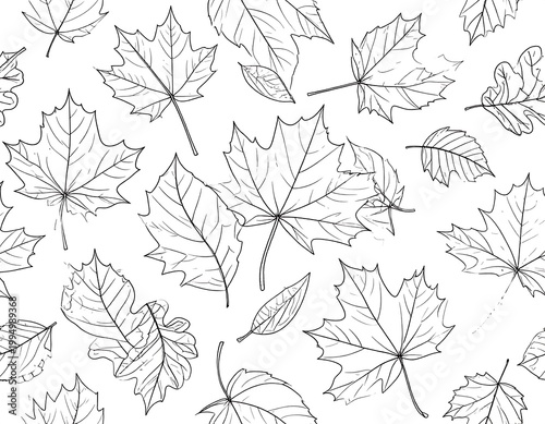 Black and white maple leaf illustrations.