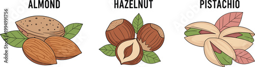 Almond, Hazelnut, and Pistachio Nuts with Leaves, Healthy Snack Illustration, Nut Variety Design for Food and Nutrition"