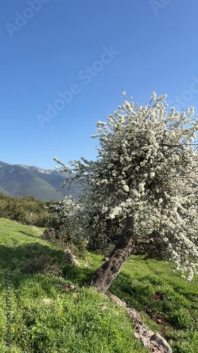 Landscape in Greece